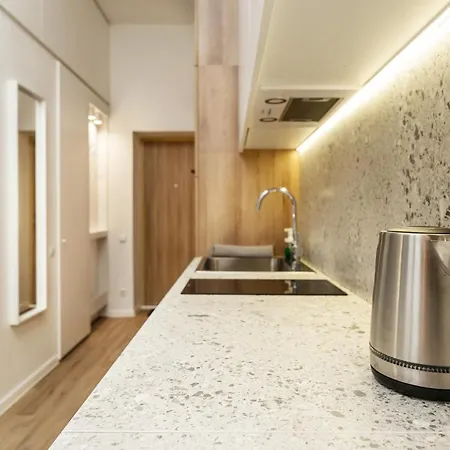 公寓 Air 113 维尔纽斯