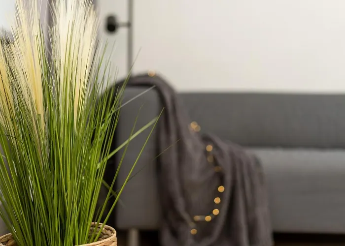 Air 113 Апартаменты *